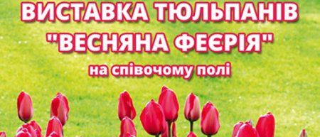 У Києві пройде виставка тюльпанів "Весняна Феєрія"