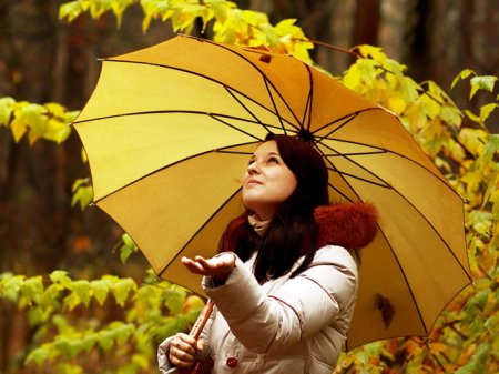 Модні жіночі парасолі осінь 2014